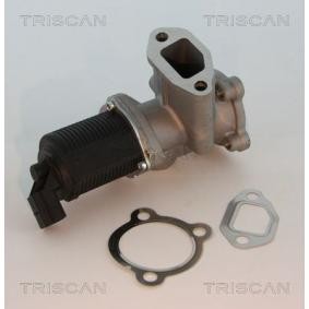Acquista Valvola EGR da TRISCAN 8813 10003 a buon mercato per soli 177,22 €