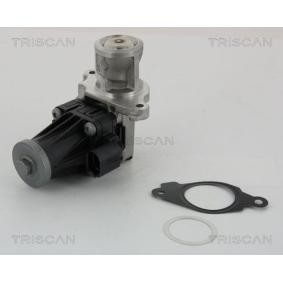 Acquista Valvola EGR da TRISCAN 8813 10004 a buon mercato per soli 199,82 €