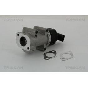 Acquista Valvola EGR da TRISCAN 8813 10005 a buon mercato per soli 160,69 €