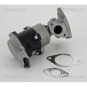 Acquista Valvola EGR da TRISCAN 8813 10008 a buon mercato per soli 245,61 €
