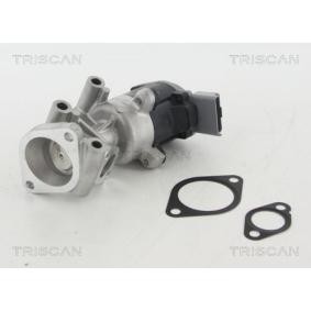 Acquista Valvola EGR da TRISCAN 8813 10009 a buon mercato per soli 180,22 €