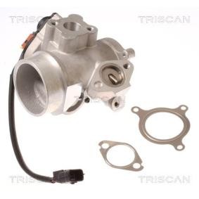 Acquista Valvola EGR da TRISCAN 8813 10012 a buon mercato per soli 325,57 €