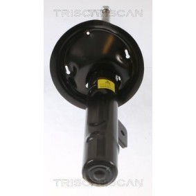 Acquista Valvola EGR da TRISCAN 8813 10210 a buon mercato per soli 212,22 €