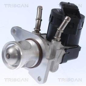 Acquista Valvola EGR da TRISCAN 8813 11001 a buon mercato per soli 175,88 €
