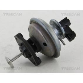 Acquista Valvola EGR da TRISCAN 8813 11002 a buon mercato per soli 159,25 €