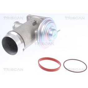 Acquista Valvola EGR da TRISCAN 8813 11102 a buon mercato per soli 80,14 €