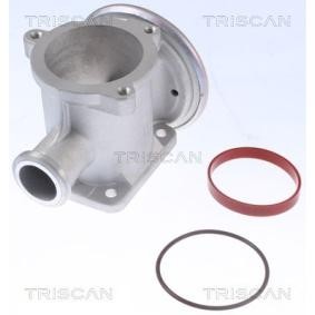 Acquista Valvola EGR da TRISCAN 8813 11105 a buon mercato per soli 89,39 €