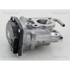 Acquista Valvola EGR da TRISCAN 8813 13021 a buon mercato per soli 173,24 €