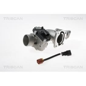 Acquista Valvola EGR da TRISCAN 8813 15100 a buon mercato per soli 530,98 €