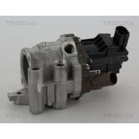 Acquista Valvola EGR da TRISCAN 8813 15207 a buon mercato per soli 258,41 €