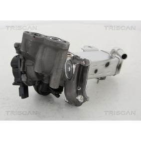 Acquista Valvola EGR da TRISCAN 8813 16014 a buon mercato per soli 490,95 €