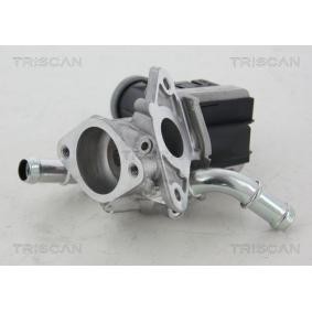 Acquista Valvola EGR da TRISCAN 8813 16036 a buon mercato per soli 309,34 €