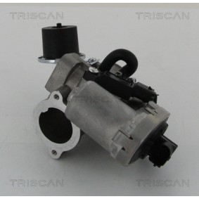 Acquista Valvola EGR da TRISCAN 8813 16202 a buon mercato per soli 350,16 €