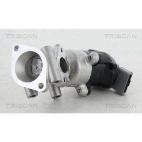 Acquista Valvola EGR da TRISCAN 8813 17016 a buon mercato per soli 100,55 €
