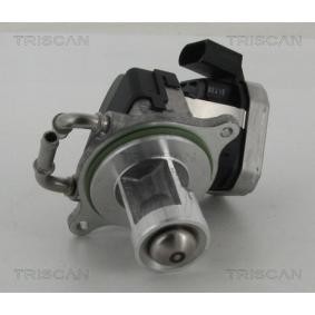 Acquista Valvola EGR da TRISCAN 8813 23002 a buon mercato per soli 437,91 €