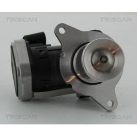 Acquista Valvola EGR da TRISCAN 8813 23006 a buon mercato per soli 403,46 €
