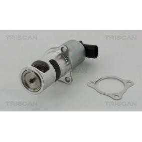 Acquista Valvola EGR da TRISCAN 8813 24037 a buon mercato per soli 143,09 €