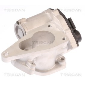 Acquista Valvola EGR da TRISCAN 8813 25012 a buon mercato per soli 374,55 €
