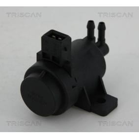 Acquista Valvola EGR da TRISCAN 8813 25021 a buon mercato per soli 48,69 €