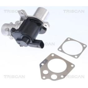Acquista Valvola EGR da TRISCAN 8813 25036 a buon mercato per soli 205,12 €