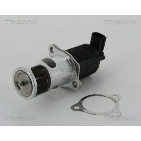 Acquista Valvola EGR da TRISCAN 8813 25038 a buon mercato per soli 203,79 €