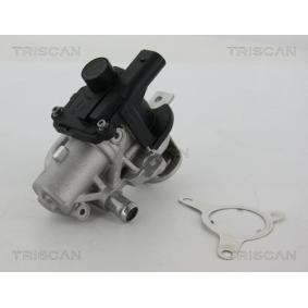Acquista Valvola EGR da TRISCAN 8813 25039 a buon mercato per soli 325,57 €