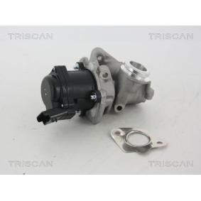 Acquista Valvola EGR da TRISCAN 8813 28003 a buon mercato per soli 268,36 €