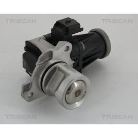 Acquista Valvola EGR da TRISCAN 8813 28005 a buon mercato per soli 219,31 €