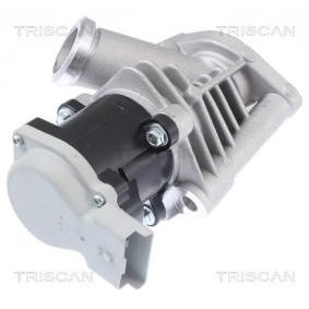 Acquista Valvola EGR da TRISCAN 8813 28028 a buon mercato per soli 265,76 €