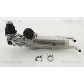Acquista Modulo EGR da TRISCAN 8813 29325 a buon mercato per soli 250,29 €