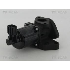 Acquista Valvola EGR da TRISCAN 8813 50007 a buon mercato per soli 325,79 €