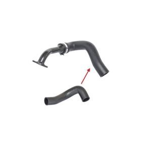 Ladeluftschlauch 88567 FIAT QUBO von BUGIAD