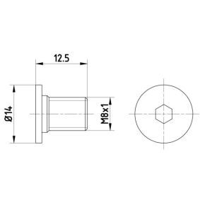 Schraube, Bremsscheibe 8DZ 355 209-021