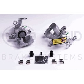RENAULT Wasserpumpe von HELLA