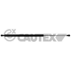 Mutter, Achsstummel für LADA von CAUTEX