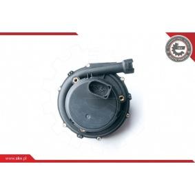 Acquista Pompa aria secondaria da ESEN SKV 96SKV201 a buon mercato per soli 189,23 €