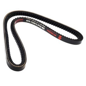 Achetez des Courroie trapézoïdale MASTER-SPORT AVX-13X813-PCS-MS à prix pour 4,72 €