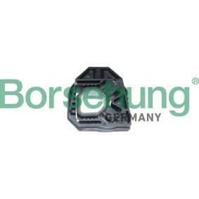 Achetez des Suspension, radiateur Borsehung B11359 à prix pour 4,69 €