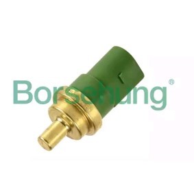 Motorelektrik des Herstellers Borsehung - Originalware Artikelnummer: B13132