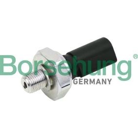 Motorelektrik des Herstellers Borsehung - Originalware Artikelnummer: B13138