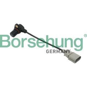 Motorelektrik des Herstellers Borsehung - Originalware Artikelnummer: B13671