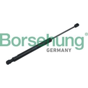 Heckklappendämpfer des Herstellers Borsehung - Originalware Artikelnummer: B14192