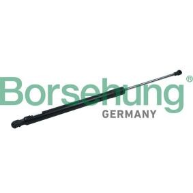 Heckklappendämpfer von Borsehung B14193