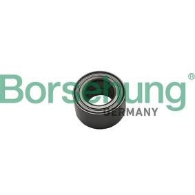Radlager des Herstellers Borsehung - Originalware Artikelnummer: B15622