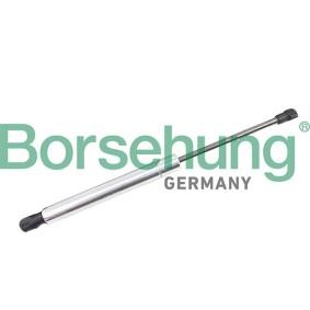 Heckklappendämpfer von Borsehung B18459
