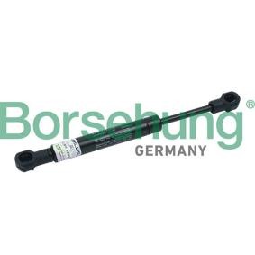 Heckklappendämpfer von Borsehung B18461