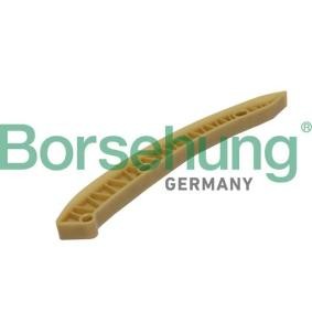 Gleitschiene, Steuerkette von Borsehung B1G004