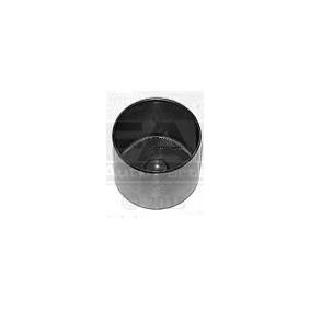 Achetez des Poussoir hydraulique FAI AutoParts BFS289S à prix pour 12,92 €