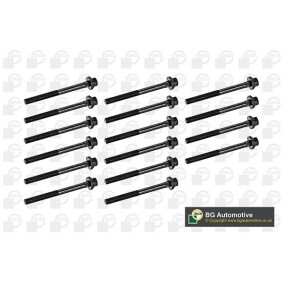 Compre Tornillos de culata de BGA online para VOYAGER IV (RG, RS) a precios moderados