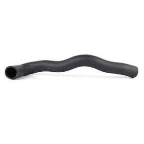 Acquista Tubo aspirazione filtro aria da BSG BSG 65-720-099 a buon mercato per soli 53,17 €